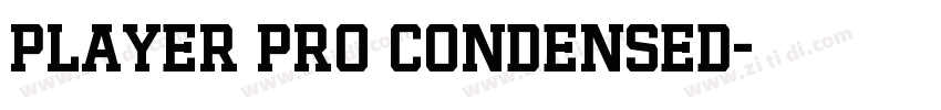 Player Pro Condensed字体转换
